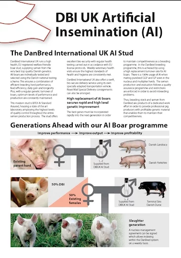 Danbred - Brochure Design